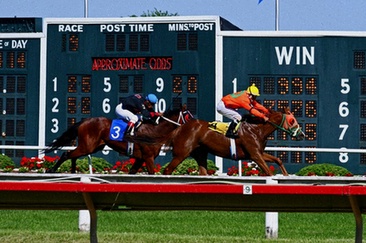 bet-at-home Pferdewetten