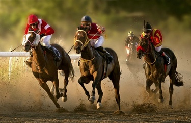 Bwin Pferdewetten