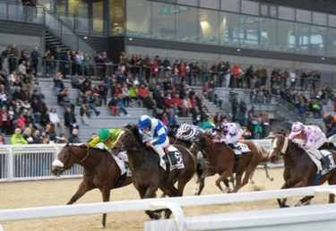 Interwetten Pferdewetten