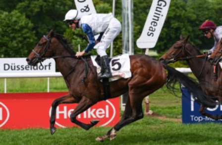 win2day Racing